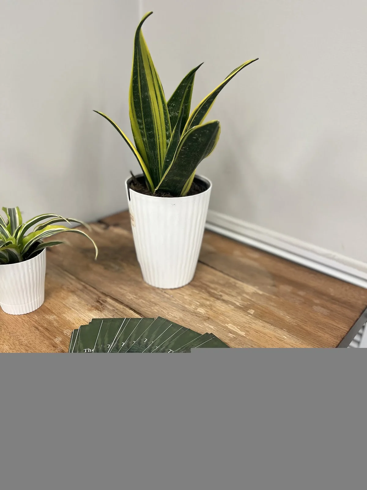 The Healing Center - Drug & Alcohol Rehab in Cherry Hill