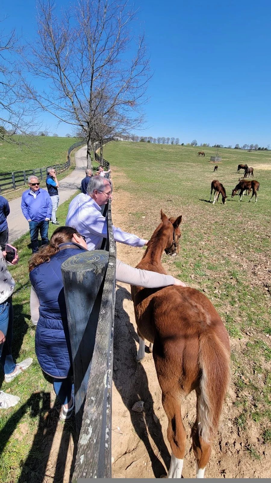 Cadia Rehabilitation Silverside - Photo 2