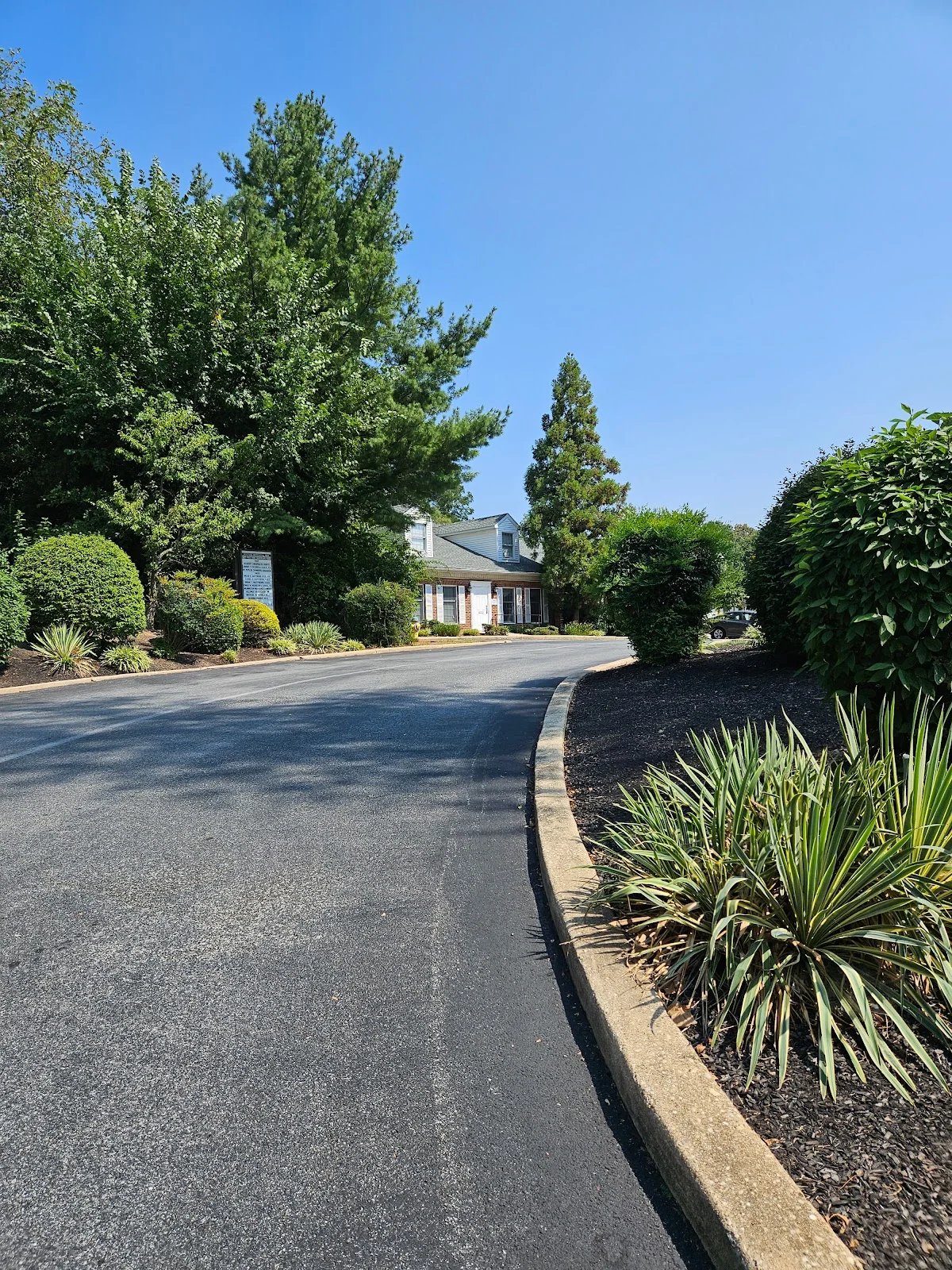 Sanare in North Wilmington, DE - Photo 4