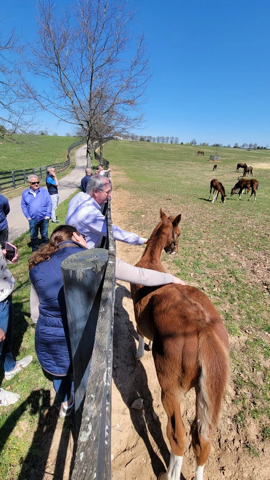 Cadia Rehabilitation Silverside - Photo 2