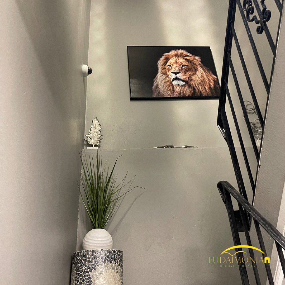 Eudaimonia Recovery Homes Sober Living - Collingdale, Pennsylvania - Photo 5