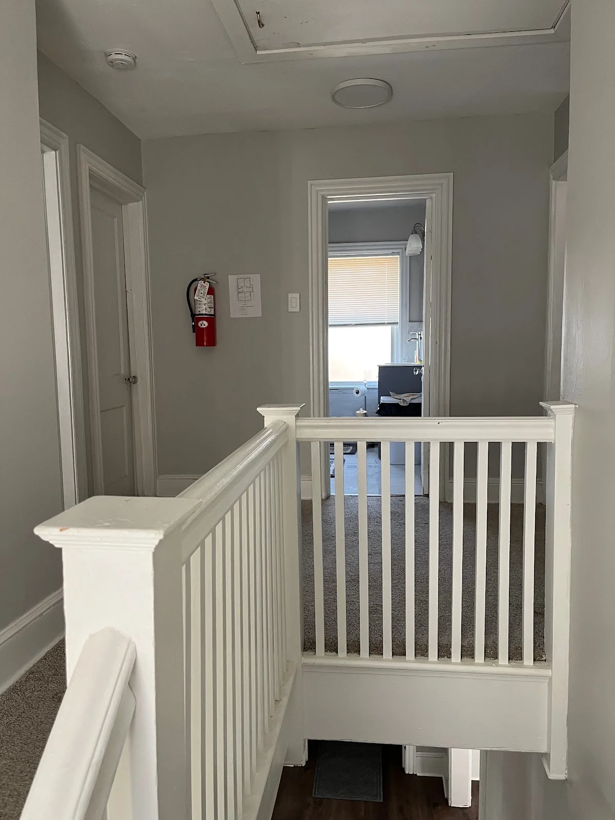 Greenhouse Recovery - Photo 4