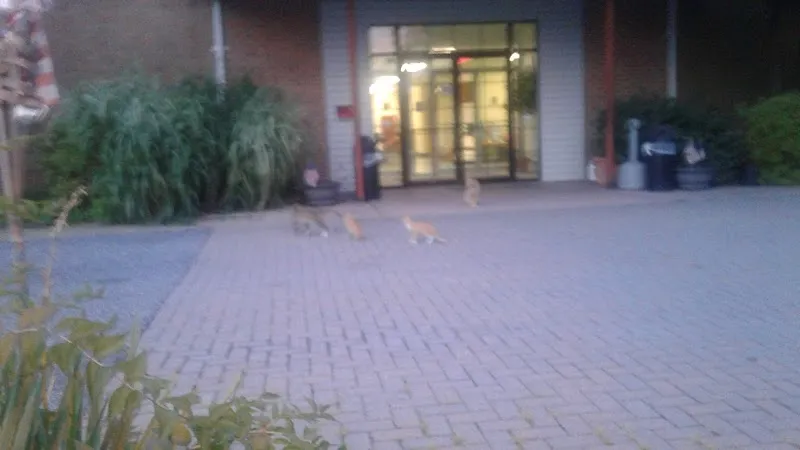 Sojourners' Place - Photo 5