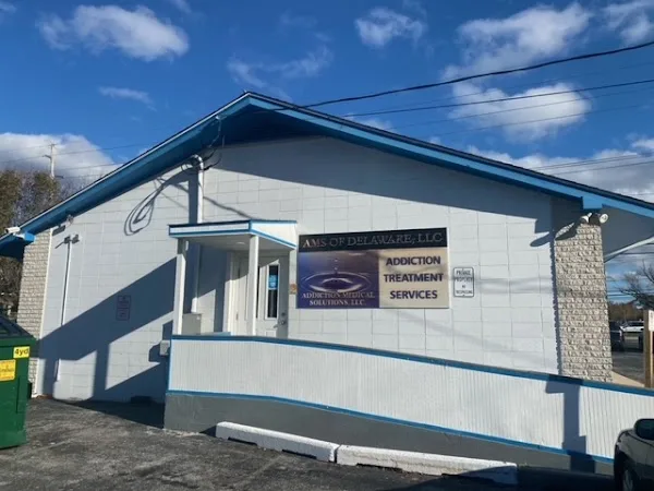 AMS of Delaware, LLC