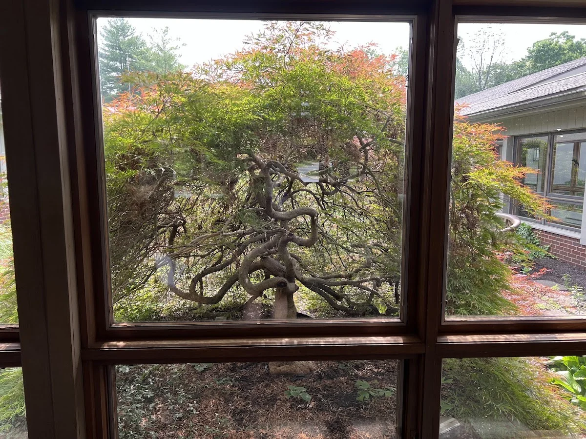 Mirmont Treatment Center - Photo 2