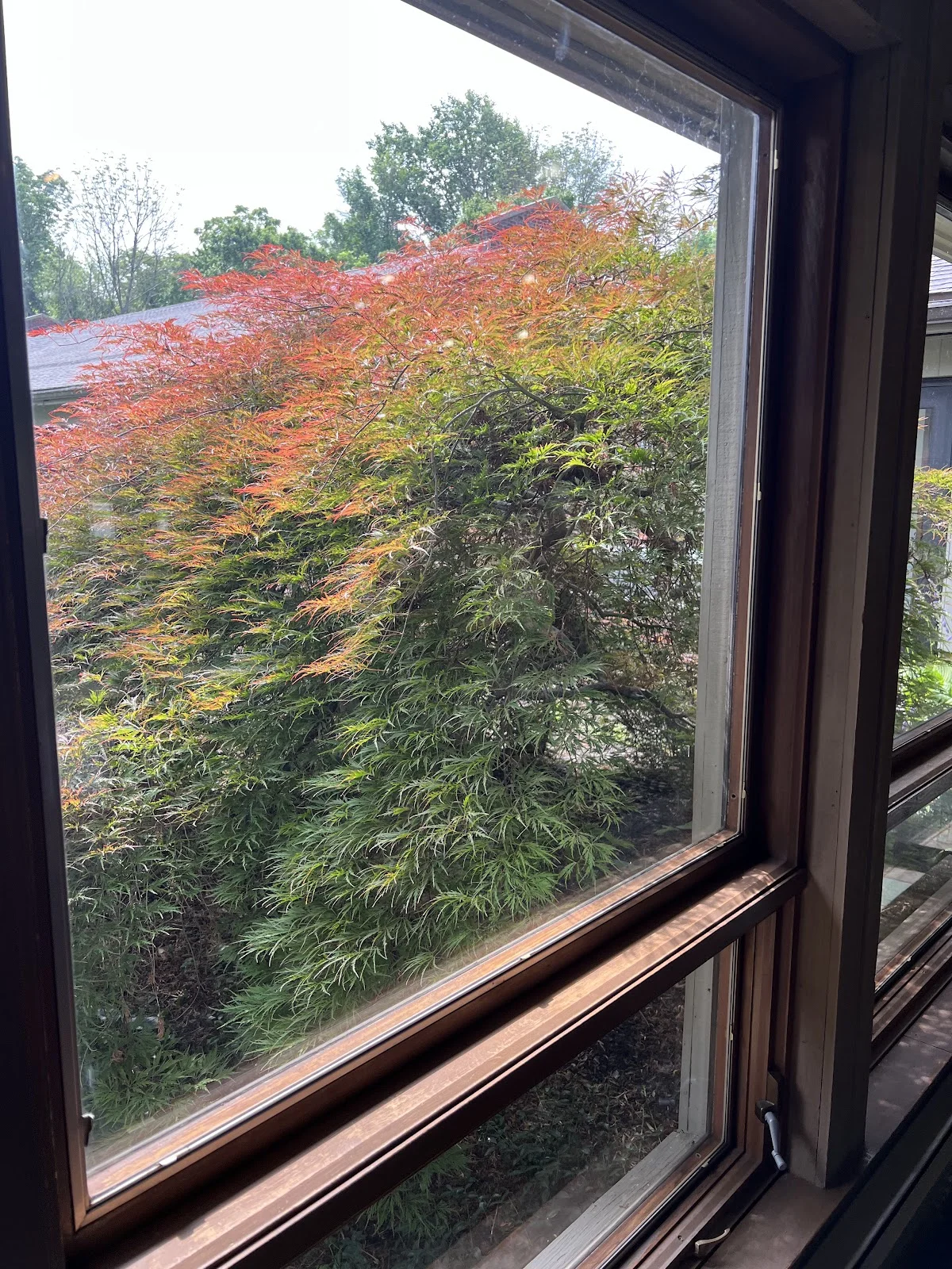 Mirmont Treatment Center - Photo 4