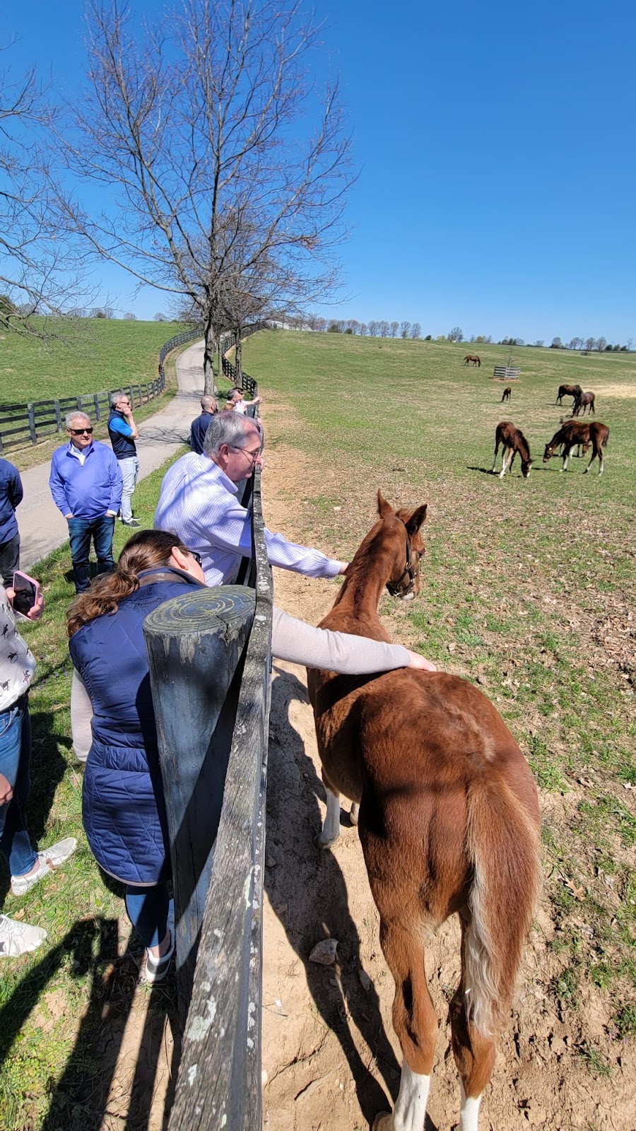 Cadia Rehabilitation Silverside - Photo 6