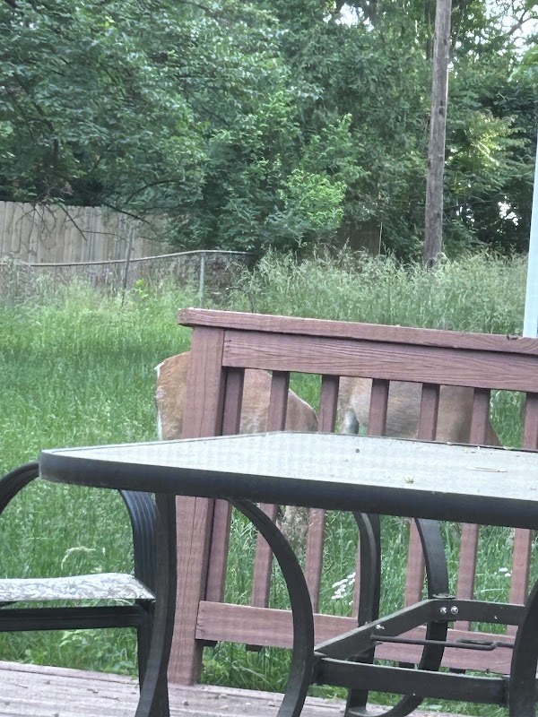 Turning point housing LLC