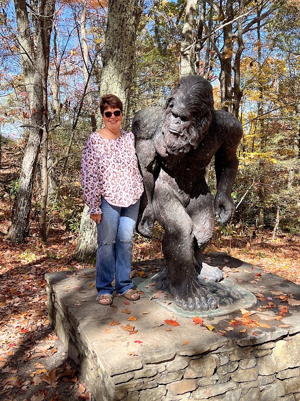 POP Recovery Systems